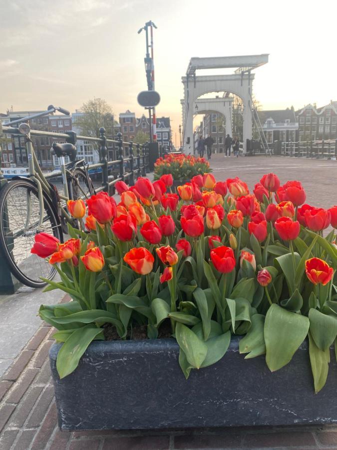Amstel Boutique Studio Amsterdam Dış mekan fotoğraf